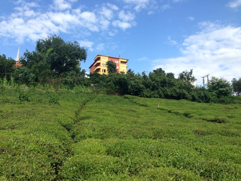 Satılık Trabzon / MERKEZ / SOLAKLI MAH.