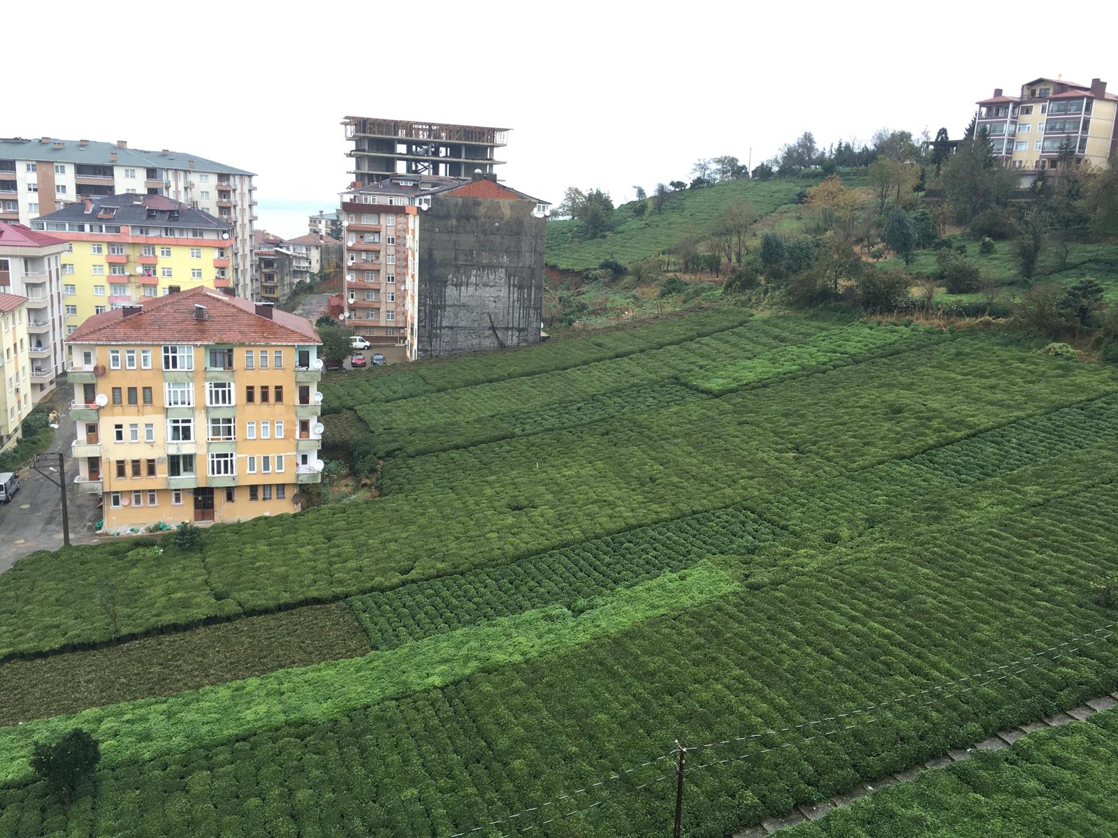 Satılık Trabzon / MERKEZ / SOLAKLI MAH.