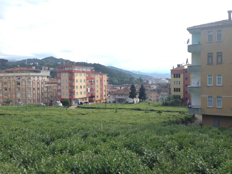 Satılık Trabzon / MERKEZ / SOLAKLI MAH.